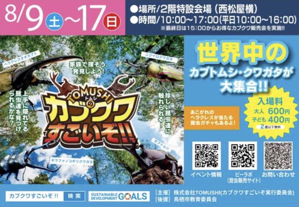 世界中のカブトムシ・クワガタが大集合!TOMUSHIのカブクワすごいぞ!!フレスポ鳥栖 世界中のカブトムシ・クワガタが大集合!TOMUSHIのカブクワすごいぞ!!フレスポ鳥栖