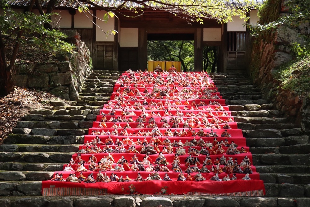 朝倉市「秋月 後の雛」 9月9日開催!石段に並ぶ約600体の雛人形 朝倉市「秋月 後の雛」 9月9日開催!石段に並ぶ約600体の雛人形