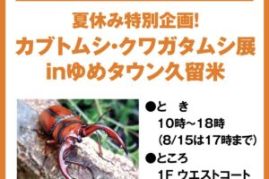 「カブトムシ・クワガタムシ展inゆめタウン久留米」触れるムシ小屋も登場【入場無料】