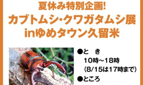 「カブトムシ・クワガタムシ展inゆめタウン久留米」触れるムシ小屋も登場【入場無料】