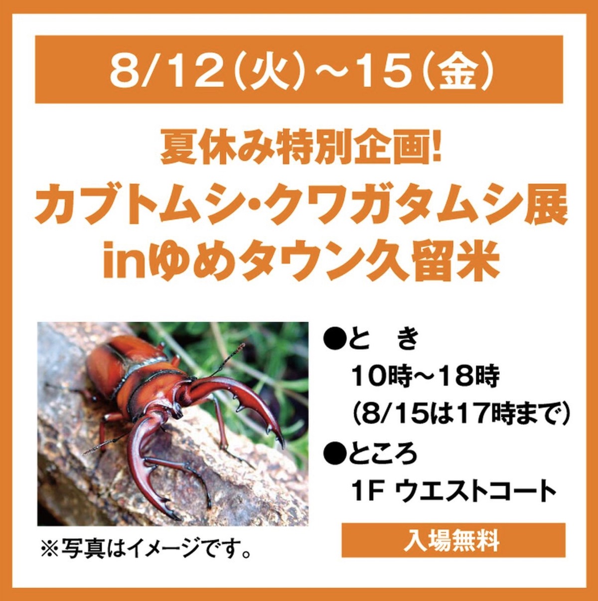 「カブトムシ・クワガタムシ展inゆめタウン久留米」触れるムシ小屋も登場【入場無料】