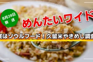 実はソウルフード！久留米やきめし調査 めんたいワイド【8/28放送】