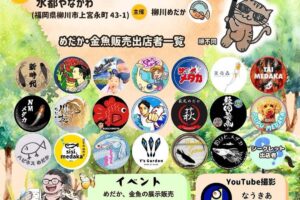 めだかと猫の「柳川祭」めだか、金魚の展示販売やキッチンカー、保護猫讓渡会