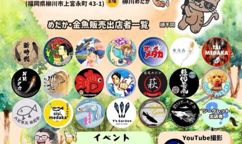 めだかと猫の「柳川祭」めだか、金魚の展示販売やキッチンカー、保護猫讓渡会