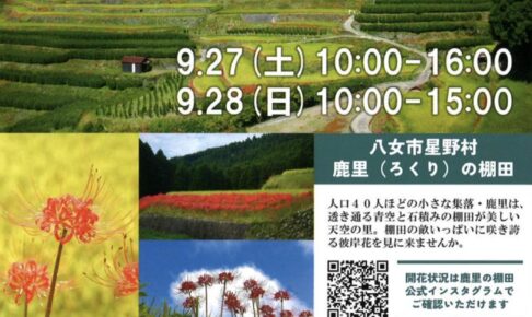 「鹿里の棚田 彼岸花まつり2025」八女市 石積みの棚田に咲き誇る真っ赤な彼岸花