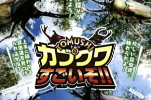 世界のカブトムシ・クワガタムシと触れ合える！「TOMUSHIのカブクワすごいぞ!!」