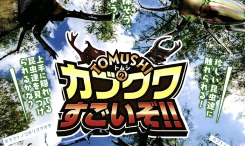 世界のカブトムシ・クワガタムシと触れ合える！「TOMUSHIのカブクワすごいぞ!!」