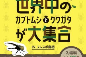 世界中のカブトムシ・クワガタが大集合！TOMUSHIのカブクワすごいぞ!!