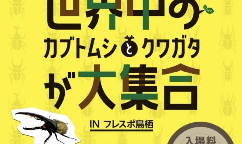 世界中のカブトムシ・クワガタが大集合！TOMUSHIのカブクワすごいぞ!!