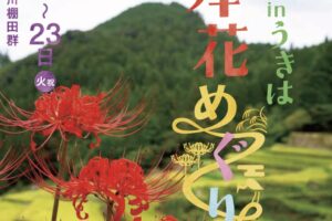 「第29回 棚田 in うきは 彼岸花めぐり」50万本の彼岸花！絶景スポット
