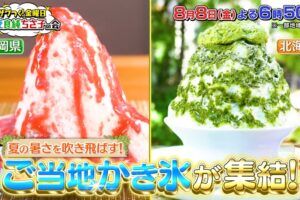 ザワつく！金曜日 福岡県の大人気かき氷店を放送！日本全国かき氷祭【8/8】