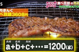 「焼肉きんぐ」食べ放題チェーン禁断の『儲かり方程式』を放送！がっちりマンデー!!