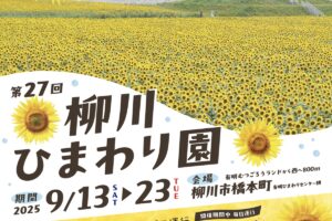 「柳川ひまわり園2025」約50万本のひまわり！日没後ライトアップも【柳川市】