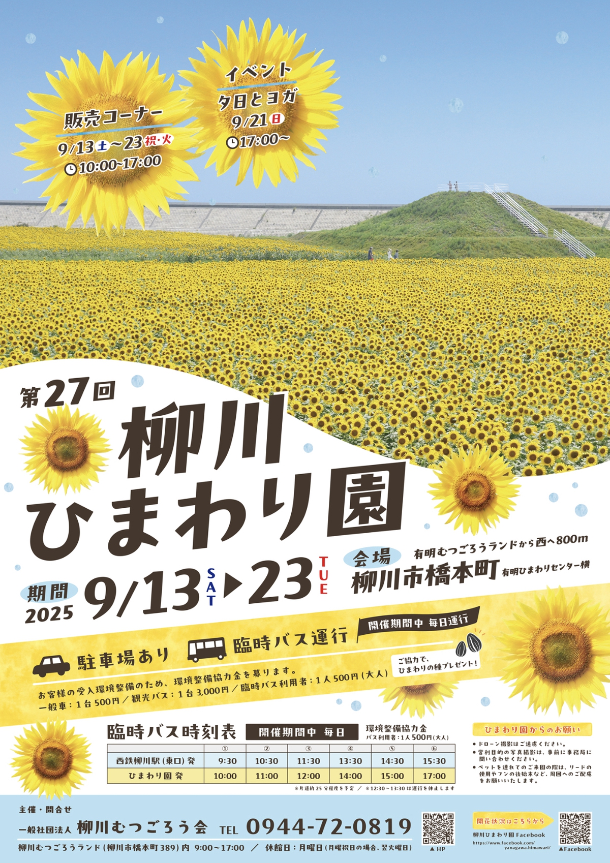 「柳川ひまわり園2025」約50万本のひまわり！日没後ライトアップも【柳川市】