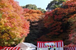 久留米市「宝の山高良山もみじ狩り祭り」江戸時代から続く紅葉の名所