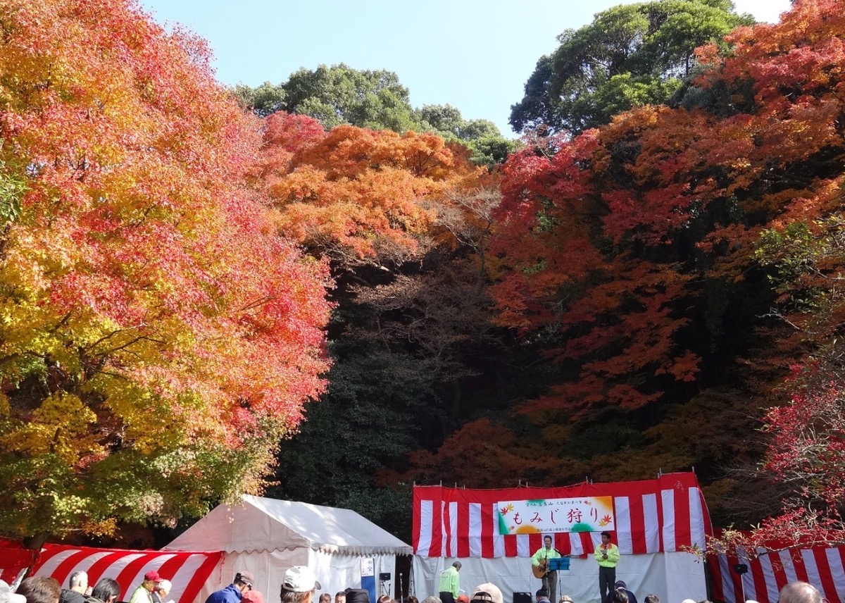 久留米市「宝の山高良山もみじ狩り祭り」江戸時代から続く紅葉の名所