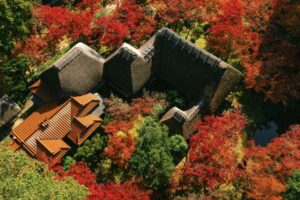 「九年庵」 2025秋の一般公開 16日間に拡大し11月15日〜30日まで開催!