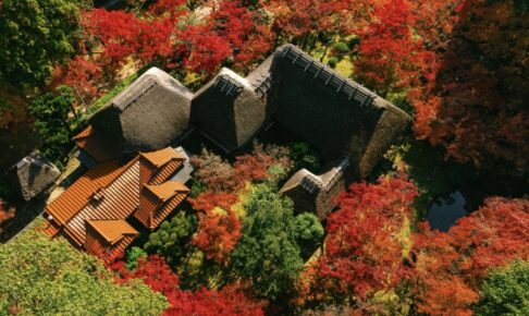 「九年庵」 2025秋の一般公開 16日間に拡大し11月15日〜30日まで開催！