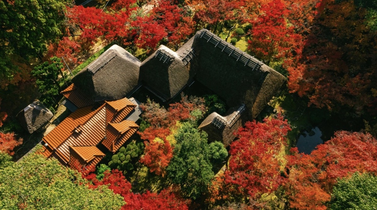 「九年庵」 2025秋の一般公開 16日間に拡大し11月15日〜30日まで開催！