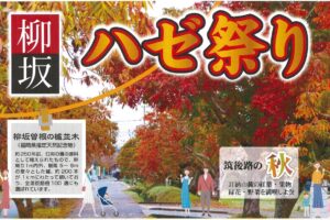 久留米市「柳坂ハゼ祭り2025」200本の櫨並木道が歩行者天国に！露店やボンネットバスも