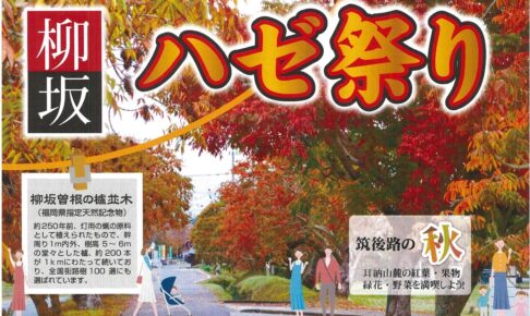 久留米市「柳坂ハゼ祭り2025」200本の櫨並木道が歩行者天国に！露店やボンネットバスも