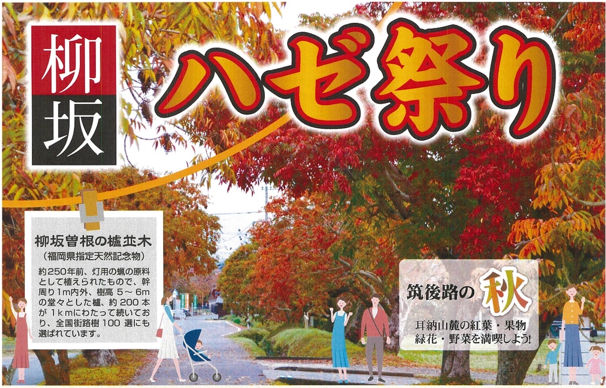 久留米市「柳坂ハゼ祭り2025」200本の櫨並木道が歩行者天国に！露店やボンネットバスも