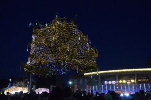 甘木中央公園イルミネーション 11月29日点灯式!色鮮やかに【朝倉市】