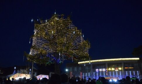 甘木中央公園イルミネーション 11月29日点灯式！色鮮やかに【朝倉市】