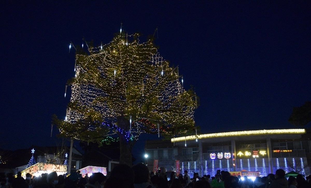 甘木中央公園イルミネーション 11月29日点灯式！色鮮やかに【朝倉市】
