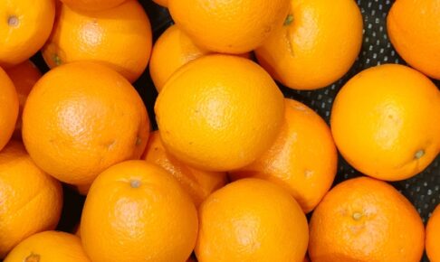 道の駅原鶴「収穫祭」果物・野菜の詰め放題や限定価格での野菜の販売【朝倉市】