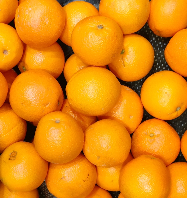 道の駅原鶴「収穫祭」果物・野菜の詰め放題や限定価格での野菜の販売【朝倉市】