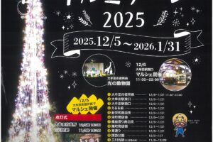 大牟田の冬の風物詩「オームタ☆イルミナーレ2025」市内15か所でイルミネーション