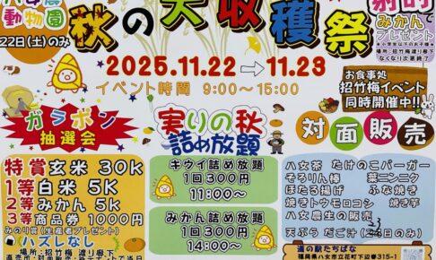 道の駅たちばな「秋の大収穫祭」みかん・キウイ詰め放題！対面販売も【八女市】