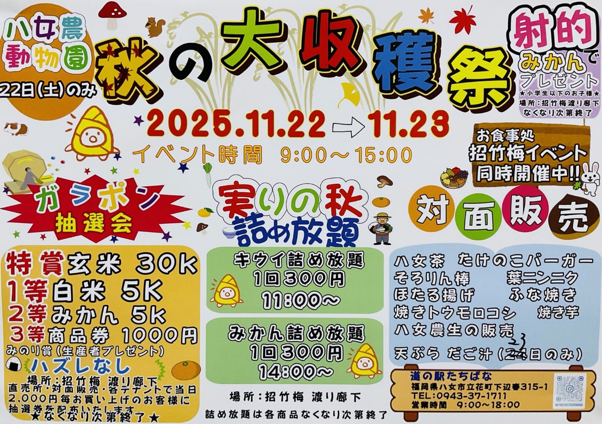 道の駅たちばな「秋の大収穫祭」みかん・キウイ詰め放題!対面販売も【八女市】
