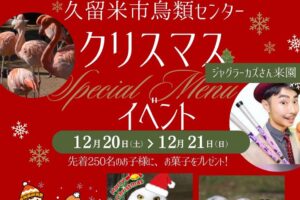 久留米市鳥類センター「クリスマスイベント」サンタを探せ！様々イベント開催
