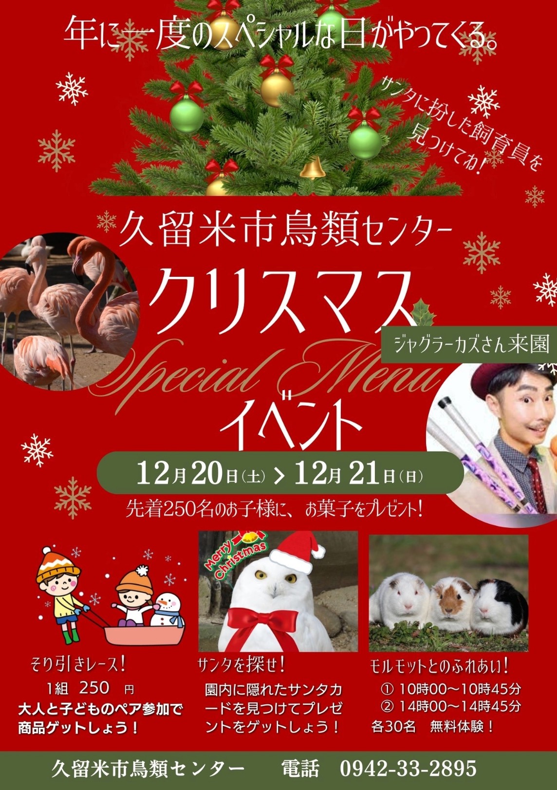 久留米市鳥類センター「クリスマスイベント」サンタを探せ!様々イベント開催