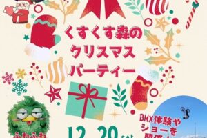 「くすくす森のクリスマスパーティー」サンタがやってくる!花火ナイアガラの滝も