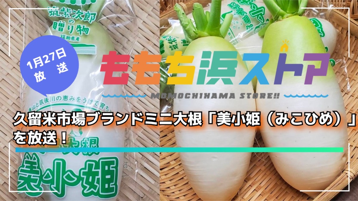 久留米市場 新ブランドミニ大根「美小姫(みこひめ)」を放送!ももち浜ストア