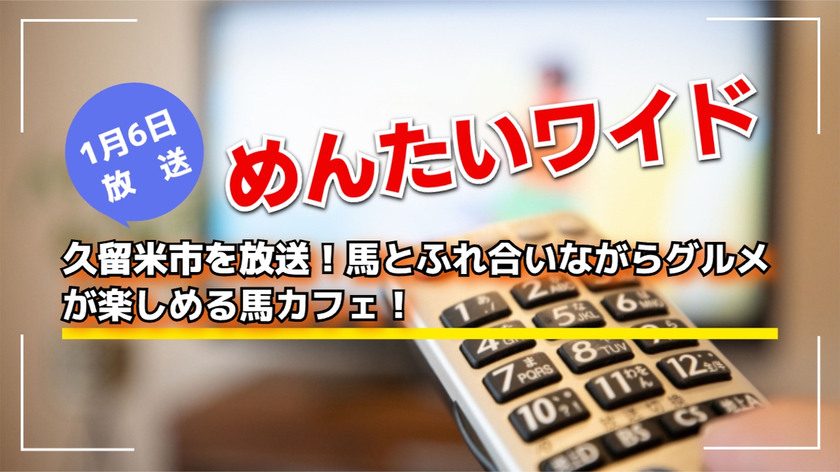 めんたいワイド 久留米市を放送！馬とふれ合いながらグルメが楽しめる馬カフェ