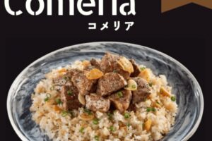久留米市に『Comeria(コメリア)』2月オープン!ガリビー(ビーフライス)