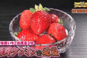 秘密のケンミンSHOW極 JAふくおか八女「博多あまおう」を放送【福岡】