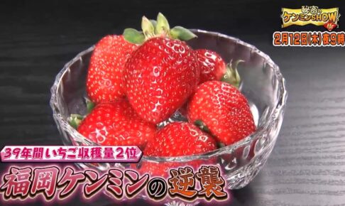 秘密のケンミンSHOW極 JAふくおか八女「博多あまおう」を放送【福岡】