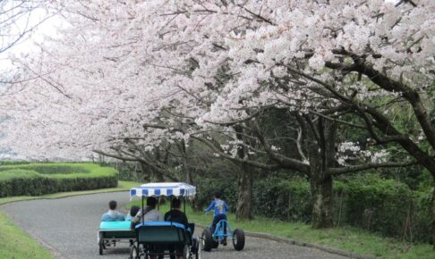久留米サイクルファミリーパーク「さくらまつり2026」ビンゴ大会・子どもスカットボール大会も