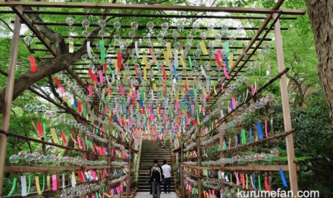 小郡市 如意輪寺『風鈴祭り2026』かえる寺 数千個の風鈴 涼やかな音色