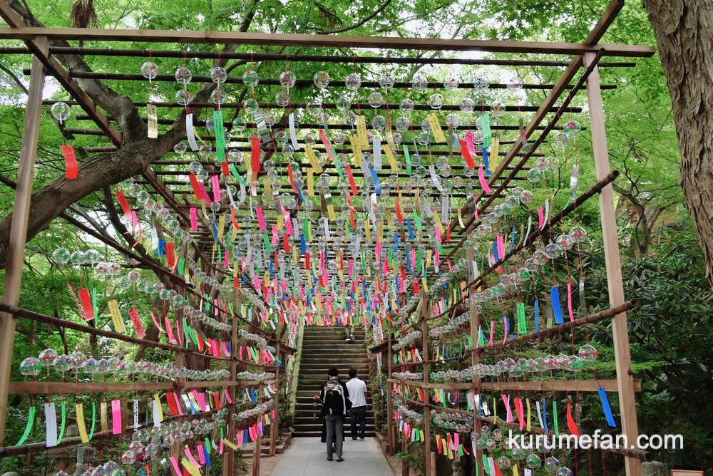 小郡市 如意輪寺『風鈴祭り2026』かえる寺 数千個の風鈴 涼やかな音色