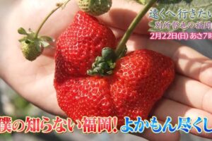 『遠くへ行きたい』別所哲也が福岡県うきは市へ!よかもんいちごで13種類食べ比べ