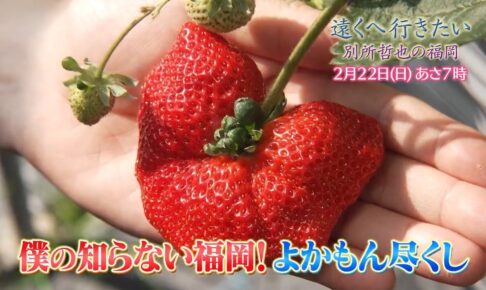 『遠くへ行きたい』別所哲也が福岡県うきは市へ！よかもんいちごで13種類食べ比べ