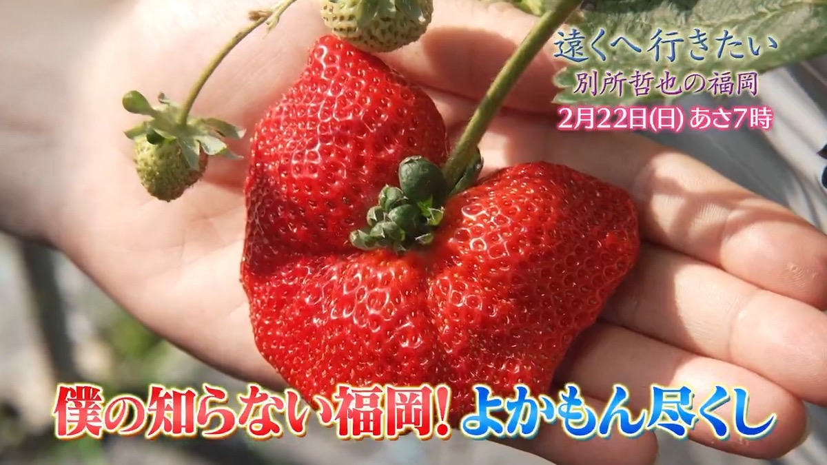 『遠くへ行きたい』別所哲也が福岡県うきは市へ!よかもんいちごで13種類食べ比べ