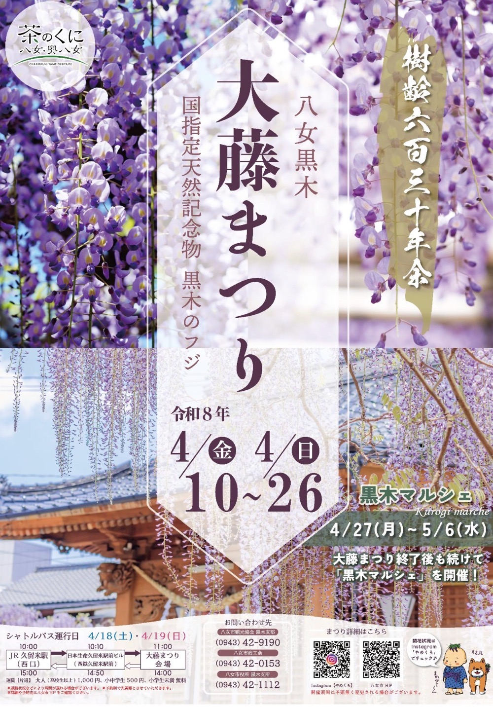 八女黒木大藤まつり2026 概要 九州屈指の藤の花【八女市】