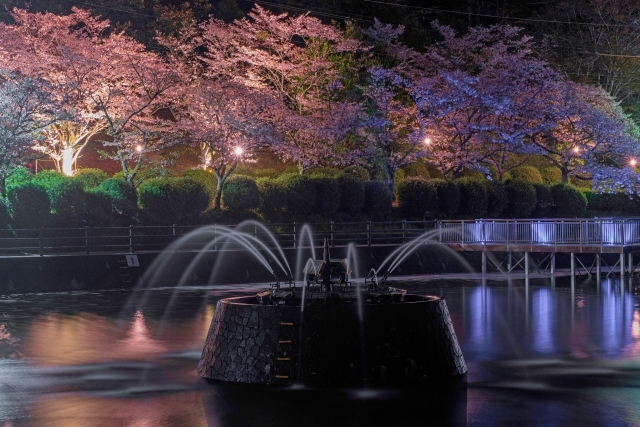 Asakura amagi yozakura